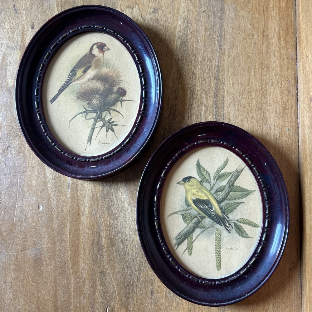 Vintage Bird Prints Goldfinch Oval Thistle Grandma Core P.H Gonner 1960's